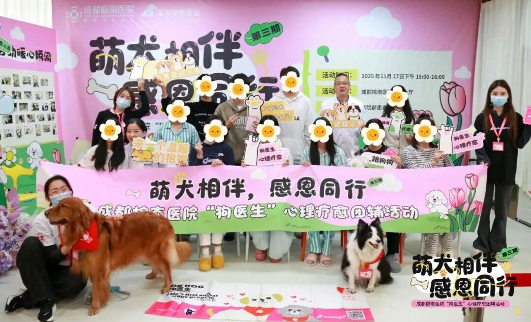 【萌犬相伴，感恩同行】：成都棕南医院“狗医生”心理疗愈团辅活动!(第三期)-成都棕南医院_成都精神病医院